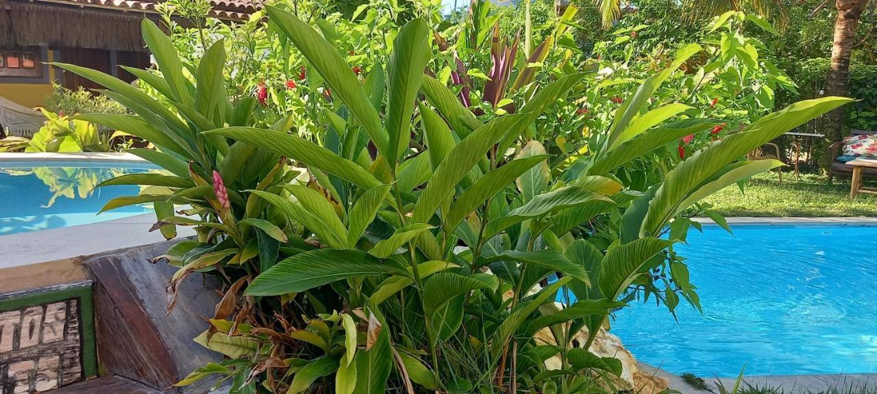 Pousada Vila Mato Verde مورو دي ساو باولو المظهر الخارجي الصورة